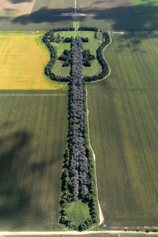 Vue aérienne de l'Estancia La Guitarra (la Ferme de la guitare), entourée de champs de maïs, près de General Levalle, dans le sud de la province de Cordoba, en Argentine, le 30 mars 2026 ( AFP / Juan MABROMATA )