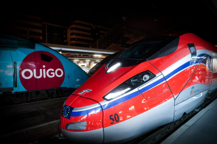 Un train Frecciarossa, de Trenitalia, gare de Lyon, en décembre 2021 (illustration) ( AFP / GEOFFROY VAN DER HASSELT )