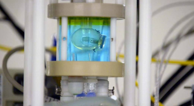 Pixium met au point des systèmes de restauration de la vision : de grosses lunettes dotées de caméra reliées à des électro-stimulateurs, eux-mêmes implantés sur la rétiniens. (© E. Piermont / AFP)