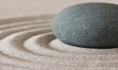 Les SCI en assurance vie : bilan 2021 et perspectives 2022