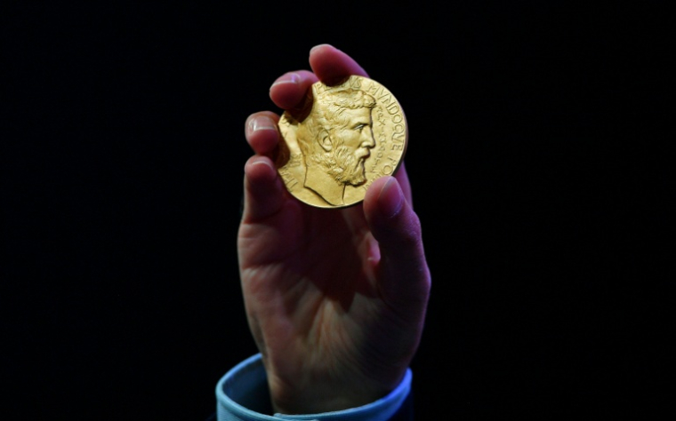 La médaille Fields consiste en un médaillon en or arborant le visage d'Archimède et une récompense de 15.000 dollars canadiens ( AFP / CARL DE SOUZA )