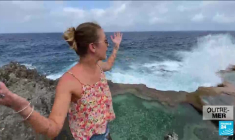 En Martinique, une nouvelle alerte au chlordécone empoisonne l'île