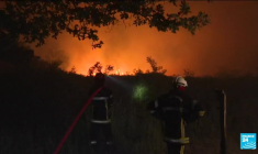 Nouvel épisode caniculaire en France : 1 700 hectares brûlés en Gironde