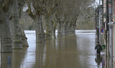 Un homme marche dans une rue inondée de Chalonnes-sur-Loire, le 17 février 2026 ( AFP / Damien MEYER )