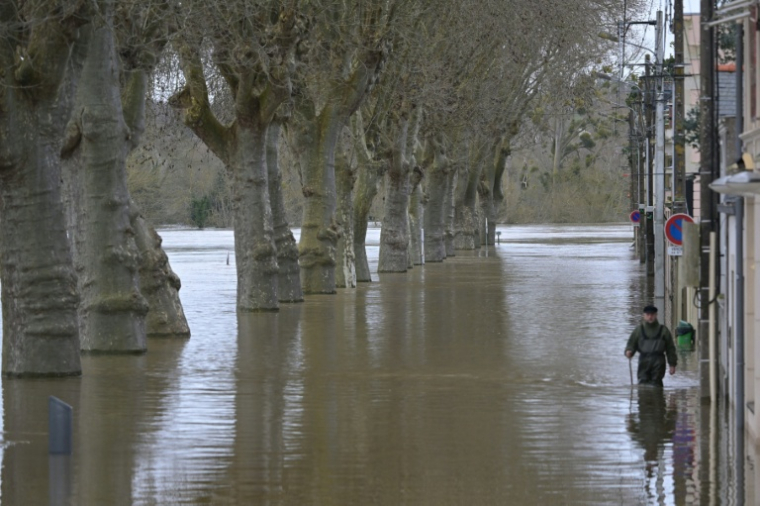 Un homme marche dans une rue inondée de Chalonnes-sur-Loire, le 17 février 2026 ( AFP / Damien MEYER )