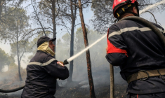 Des pompiers relevant d'une unité de la Protection civile luttent contre un incendie de forêt dans une zone montagneuse près de la ville d'Al Hachimia, dans la province de Bouira, le 21 juillet 2026 ( AFP / - )