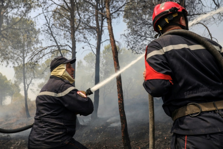 Des pompiers relevant d'une unité de la Protection civile luttent contre un incendie de forêt dans une zone montagneuse près de la ville d'Al Hachimia, dans la province de Bouira, le 21 juillet 2026 ( AFP / - )