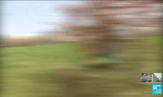 Guerre en Ukraine : comment répondre à la pénurie de blé qui touche de plus en plus de pays ?