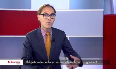 Obligation de déclarer ses impôts en ligne : la galère ? (VIDEO)