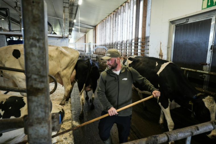Joni Pitkanen, un agriculuteur finlandais, photographié dans son exploitation proche du site où Google prévoit de construire un nouveau centre de données, le 29 septembre 2026 à Muhos, dans le nord de la Finlande  ( AFP / Alessandro RAMPAZZO )