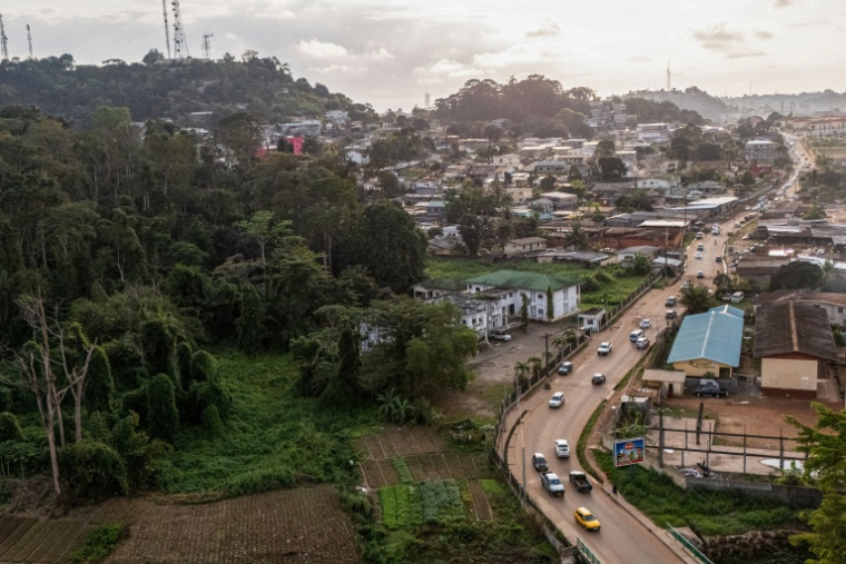 Vue aérienne de l’arboretum de Sibang et de la ville de Libreville, la capitale du Gabon, le 15 octobre 2026 ( AFP / Nao Mukadi )
