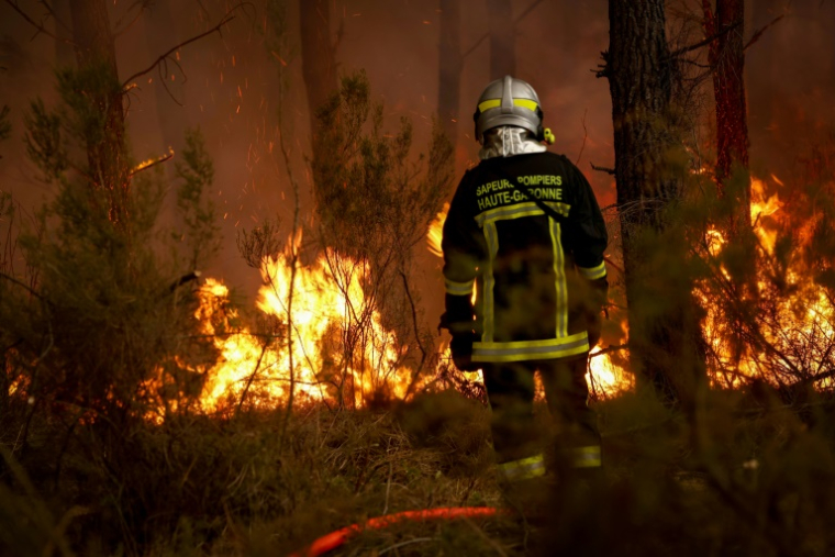 Un incendie de forêt à Saint-Jean-d'Illac, à une trentaine de km de Bordeaux, le 26 juillet 2026 ( AFP / ROMAIN PERROCHEAU )