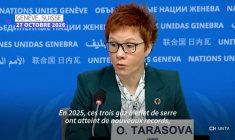 Gaz à effet de serre : des concentrations records en 2025, selon l'ONU
