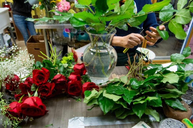 Les parents d'une fillette décédée d'une leucémie liée à l'exposition aux pesticides de sa mère, alors fleuriste, pendant sa grossesse, se sont pourvus en cassation pour obtenir une indemnisation spécifique ( AFP / SAUL LOEB )