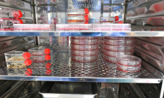 De l'ARN messager stocké dans un environnement à atmosphère contrôlée au laboratoire ART-RNAm de l'Inserm à Orléans, le 18 novembre 2025 ( AFP / JEAN-FRANCOIS MONIER )