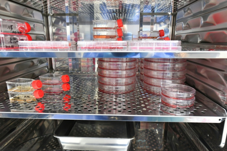 De l'ARN messager stocké dans un environnement à atmosphère contrôlée au laboratoire ART-RNAm de l'Inserm à Orléans, le 18 novembre 2025 ( AFP / JEAN-FRANCOIS MONIER )