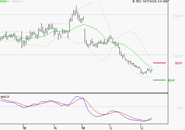 VIRIDIEN (ex CGG) : Retour possible sur les supports