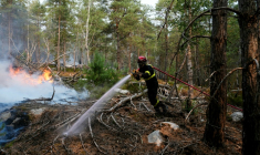 Un pompier lutte contre un incendie dans la forêt de Fontainebleau, à Noisy-sur-Ecole, en Seine-et-Marne, le 14 juillet 2026  ( AFP / Dimitar DILKOFF )