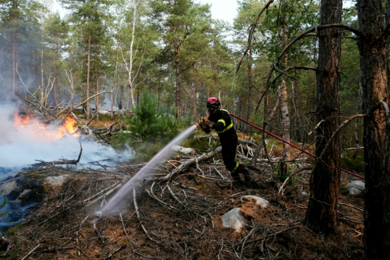 Un pompier lutte contre un incendie dans la forêt de Fontainebleau, à Noisy-sur-École, le 14 juillet 2026 en Seine-et-Marne ( AFP / Dimitar DILKOFF )