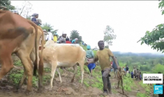 Glissement de terrain en Ethiopie : plus de 200 morts