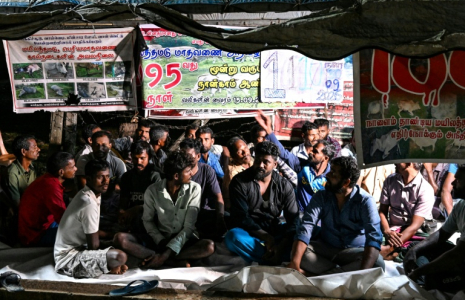 Des éleveurs tamouls installés sous une bâche pour protester contre une spoliation foncière, le 30 septembre 2026 à Batticaloa, dans l'est du Sri Lanka ( AFP / Ishara S. KODIKARA )