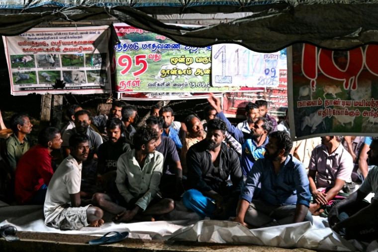 Des éleveurs tamouls installés sous une bâche pour protester contre une spoliation foncière, le 30 septembre 2026 à Batticaloa, dans l'est du Sri Lanka ( AFP / Ishara S. KODIKARA )