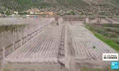 Tunisie : un système d'irrigation menacé par le réchauffement climatique