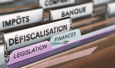 les points d'attention pour optimiser une défiscalisation. ( Crédits: © Olivier Le Moal - stock.adobe.com)