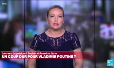 Chute de Bachar al-Assad : quelles réactions au Liban ?