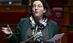 Cyrielle Chatelain, présidente du groupe Ecologiste et Social, le 24 octobre 2024, à l'Assemblée nationale ( AFP / JULIEN DE ROSA )
