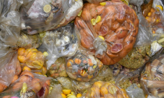 Des déchets alimentaires dans une usine de transformation en compost et biogaz, le 19 novembre 2021 à Stains, au nord de Paris ( AFP / Eric PIERMONT )