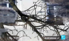 Vaccination en Autriche et en Israël, retour des réfugiés au Nigeria, francophonie en Louisiane