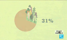 Environnement : les forêts françaises gagnent du terrain