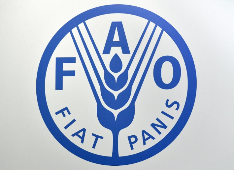 Logo de l'Organisation des Nations unies pour l'alimentation et l'agriculture, connue sous le nom de FAO (Food and Agriculture Organization of the United Nations)  ( AFP / Vincenzo PINTO                       )