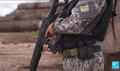 Baisse de la déforestation en Amazonie : diminution de plus de 60% par rapport à juillet 2022