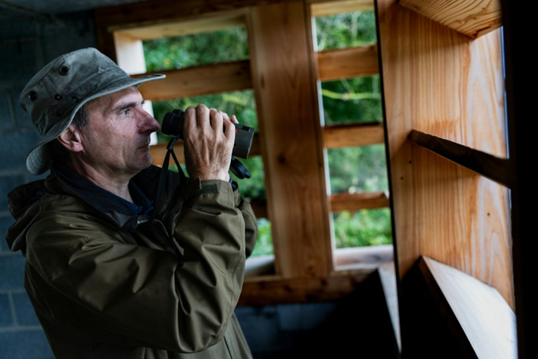 L'ornithologue belge Alain Malengreau observe des oiseaux depuis une cabane dans les marais d'Harchies, une zone naturelle protégée belge, le 21 août 2026 à Bernissart dans le sud-ouest du pays ( AFP / Sameer Al-DOUMY )