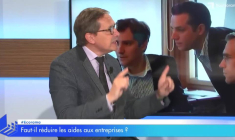 Faut-il réduire les aides aux entreprises ?