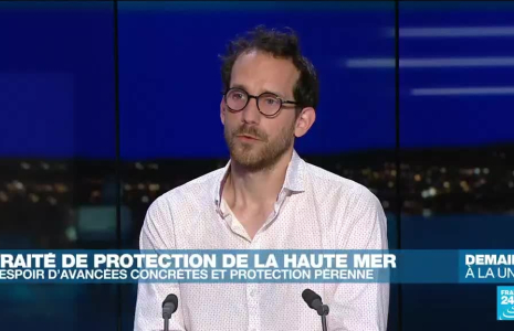 Traité de protection de la haute mer : un traité historique pour la protection de la vie marine