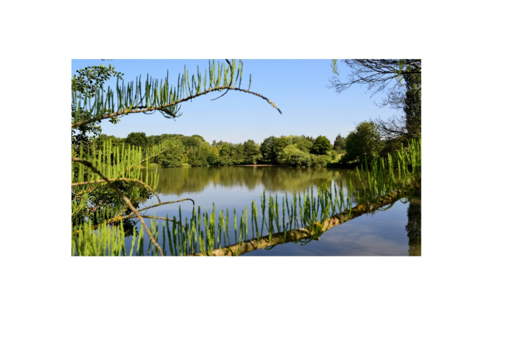 L‘arboretum de Chèvreloup (Crédit arboretumdeversailleschevreloup.fr_Jerome-Meunier)