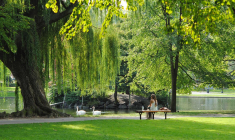 une femme sur un banc dans un parc (Crédit: Josephine Baran / Unsplash)