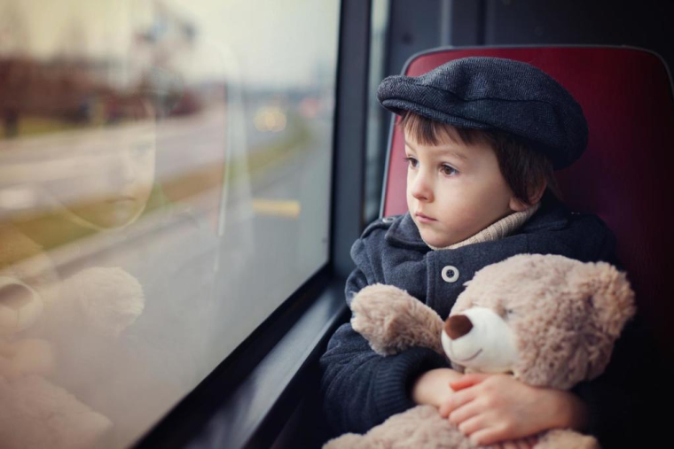 Tomsickova Tatyana/Shutterstock / Tomsickova Tatyana