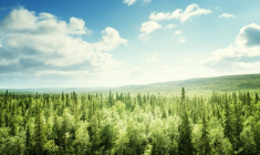 Crédit photo : 123RF