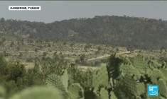Triste djebel : en Tunisie, des mines posées par les jihadistes