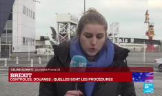 Calais : trafic transmanche fluide au premier jour du Brexit