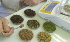 Cible d'une OPA initiée par Givaudan, Naturex transforme des produits naturels pour les industries agroalimentaire et cosmétique. (© Naturex)