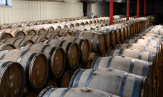 Photo d'illustration ( AFP / BERTRAND GUAY )