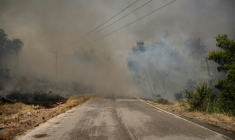 De la fumée au bout d'une route dans la zone de Porto Germeno, en Grèce, le 2 août 2026 ( AFP / Angelos TZORTZINIS )