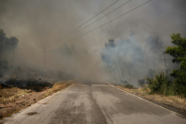 De la fumée au bout d'une route dans la zone de Porto Germeno, en Grèce, le 2 août 2026 ( AFP / Angelos TZORTZINIS )