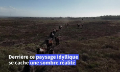 En Indonésie, dans l'île aux esclaves à quelques heures de Bali