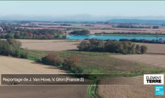 Des agriculteurs optent pour le bambou et revendent leurs certificats CO2 à des industriels